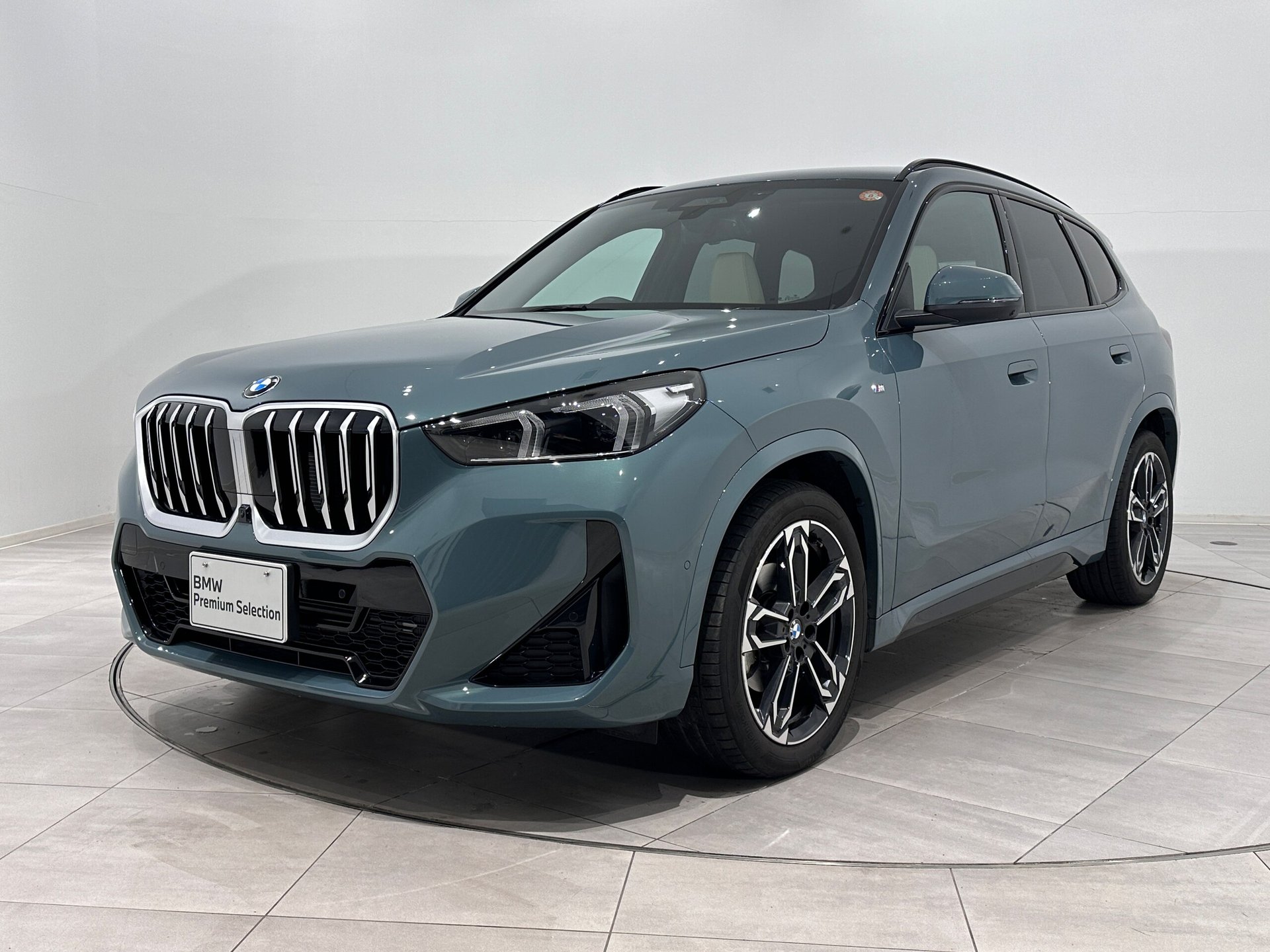 BMW X1 - View 1