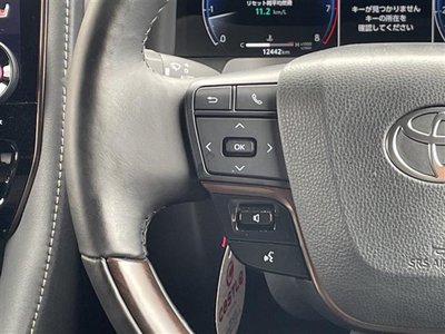 2025 Toyota ALPHARD — миниатюра 33