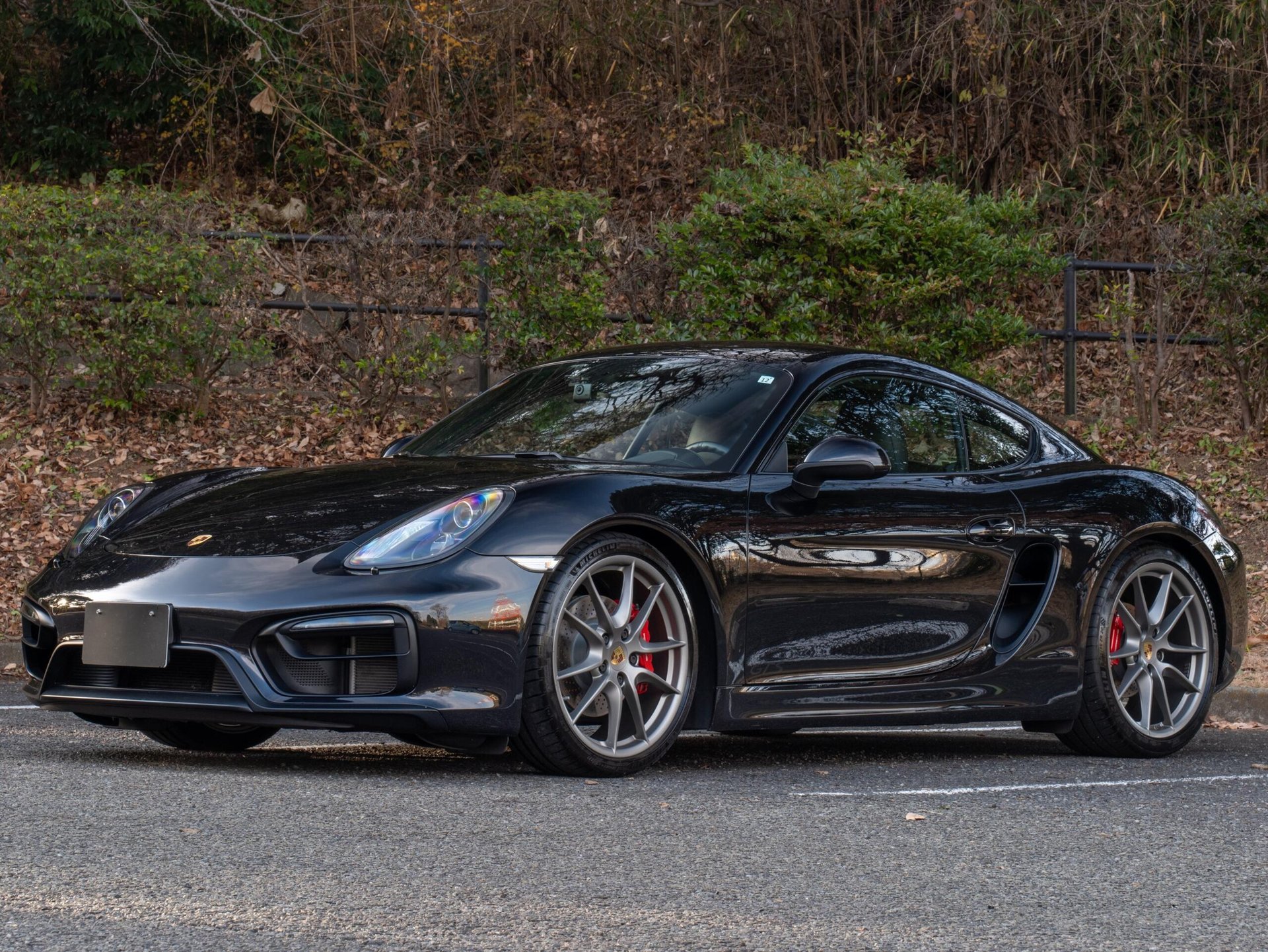 PORSCHE CAYMAN - View 1