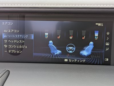 2020 Lexus LC CONVERTIBLE 缩略图 50