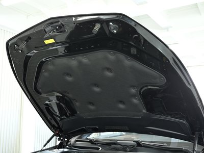 2015 Mercedes-BENZ S-CLASS 缩略图 78