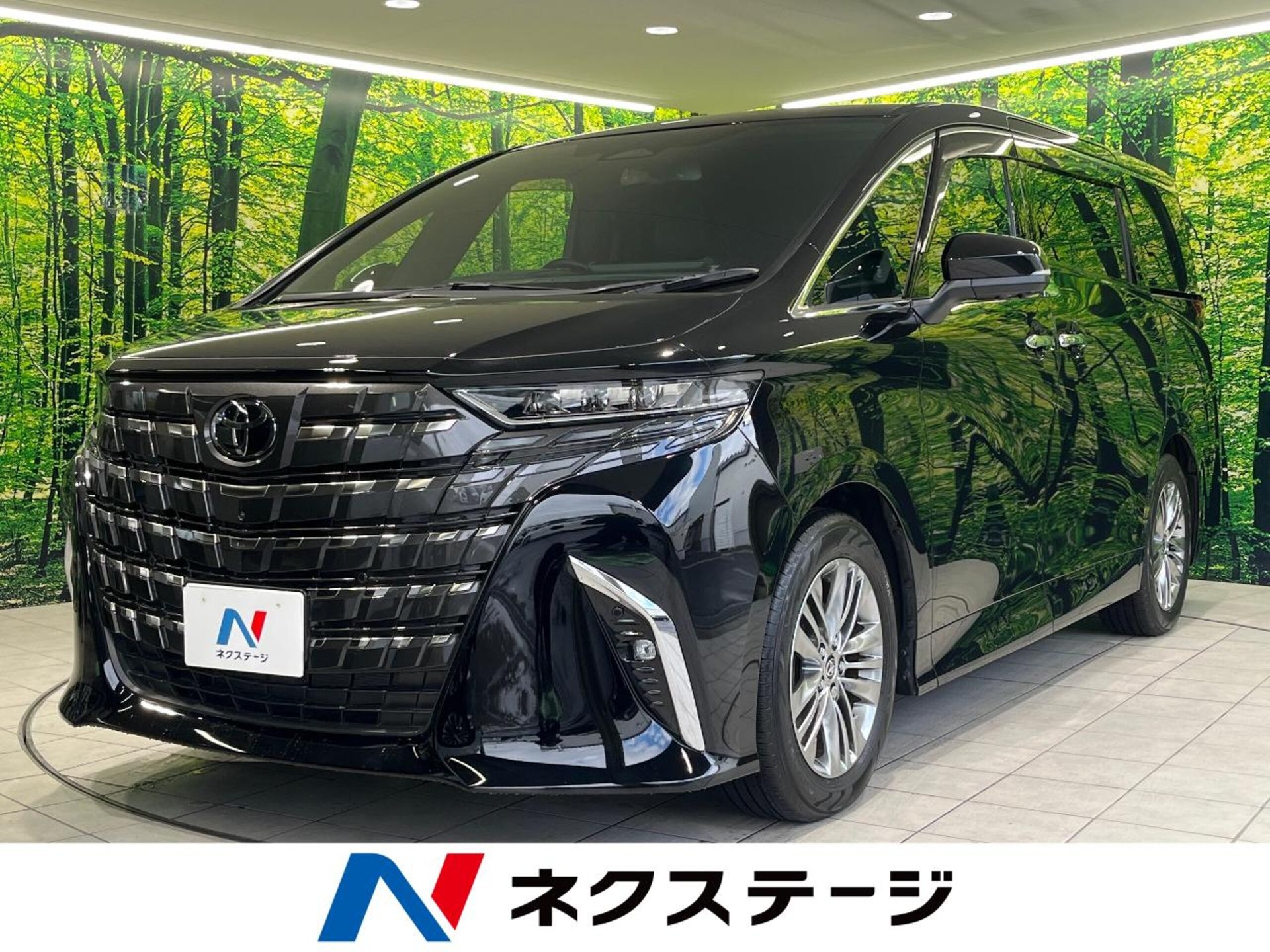 TOYOTA ALPHARD - View 1
