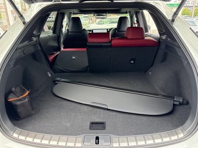 2024 Lexus RX 缩略图 18