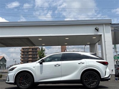 2024 Lexus RX 缩略图 25