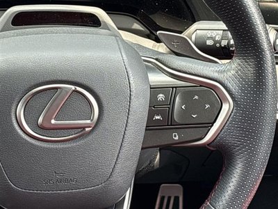 2024 Lexus RX 缩略图 14