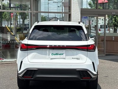 2024 Lexus RX 缩略图 22
