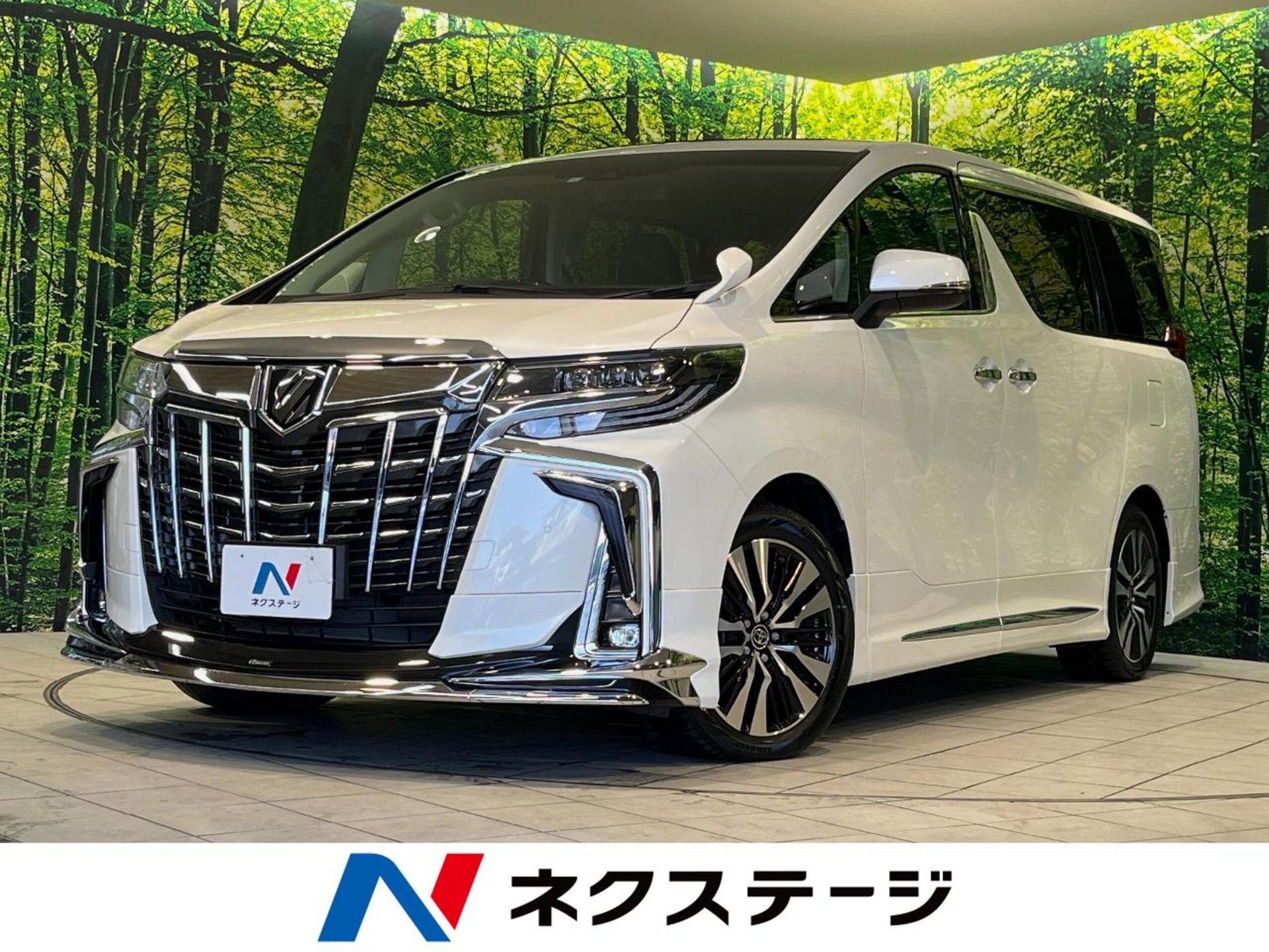 TOYOTA ALPHARD - View 1