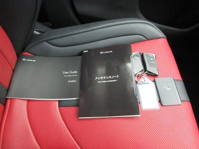 صورة مصغرة 32 لـ 2022 Lexus NX