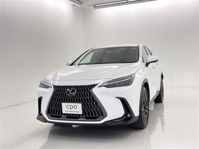 2023 Lexus NX — фото 1