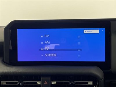 2024 Toyota LAND CRUISER 250 缩略图 11