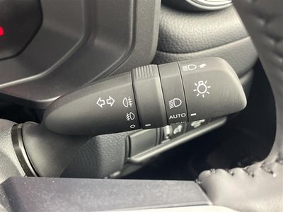 2024 Toyota LAND CRUISER 250 缩略图 16