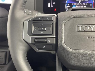 2024 Toyota LAND CRUISER 250 缩略图 14