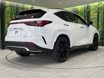 2023 Lexus NX 缩略图 17