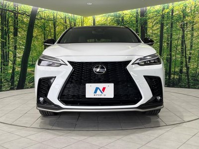 2023 Lexus NX 缩略图 14