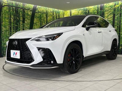 2023 Lexus NX 缩略图 48