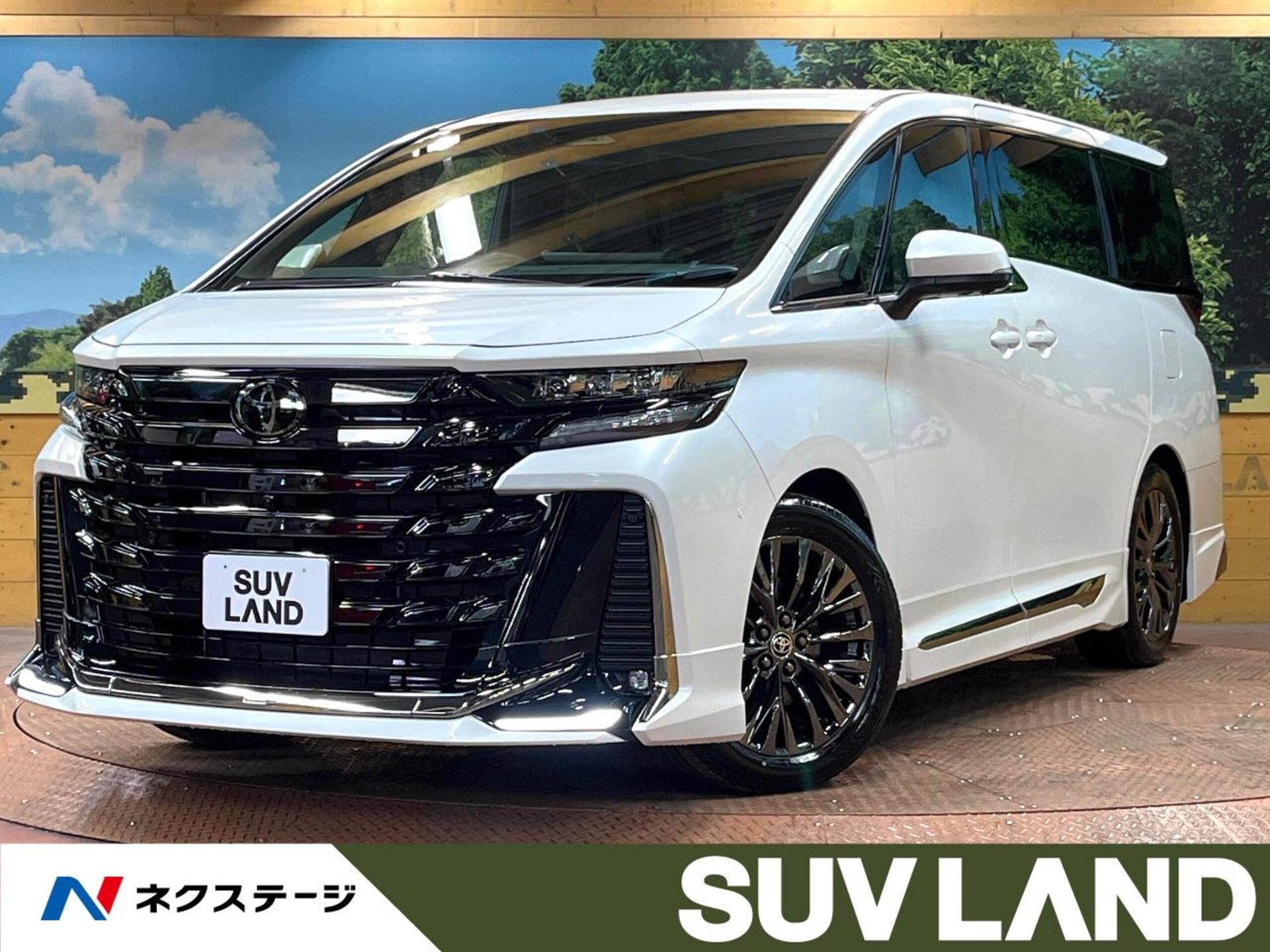 TOYOTA VELLFIRE - View 1