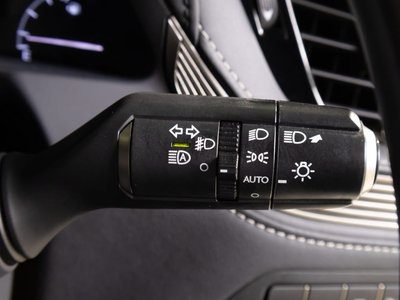 2019 Lexus LS 缩略图 50