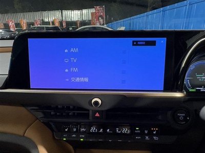 TOYOTA CROWN SPORT - 9