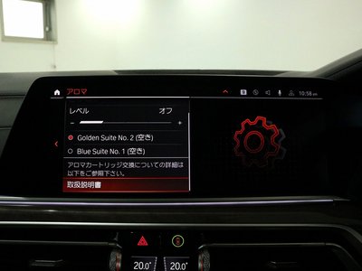 2020 BMW X7 缩略图 44