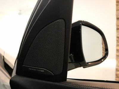 2020 BMW X7 缩略图 54