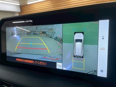 TOYOTA LAND CRUISER 250 - 5