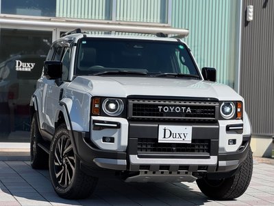 TOYOTA LAND CRUISER 250 - 6