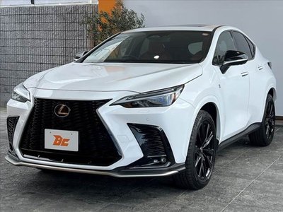 LEXUS NX - 10