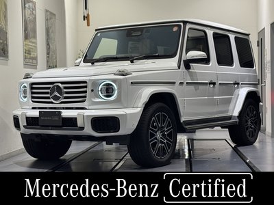 MERCEDES-BENZ G-CLASS - 1