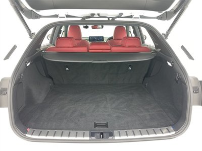 2022 Lexus RX thumbnail 14