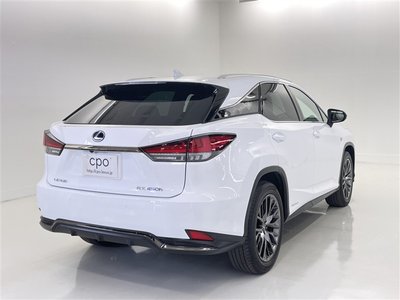 2022 Lexus RX thumbnail 17