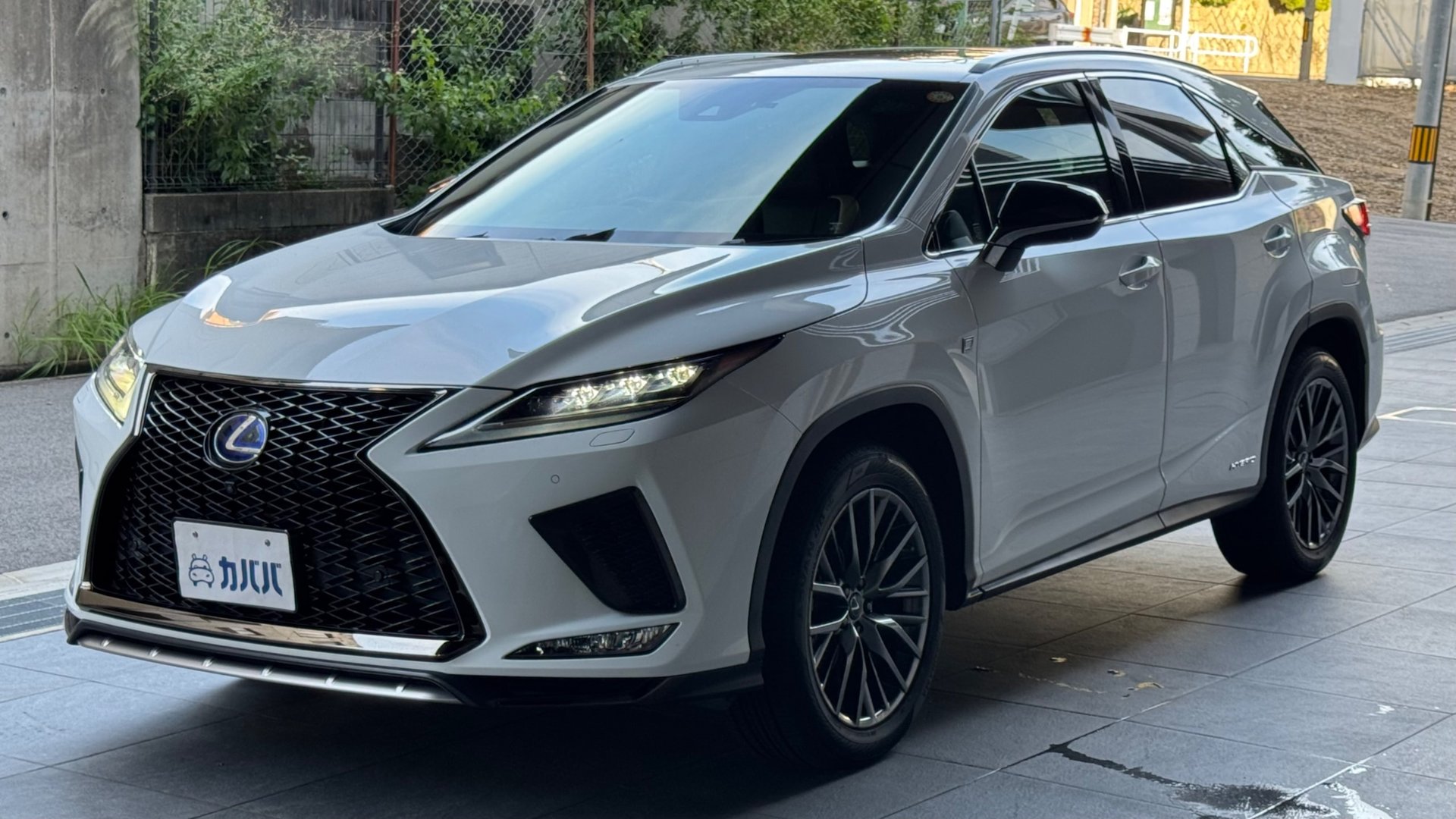 LEXUS RX F SPORT - View 1