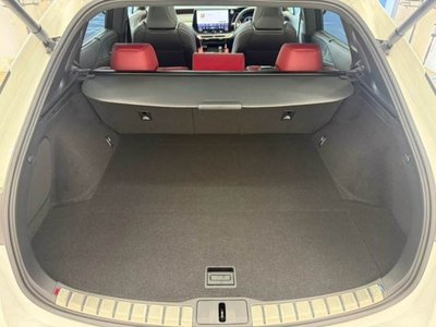 2024 Lexus RX 缩略图 13