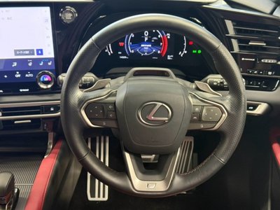 2024 Lexus RX 缩略图 30