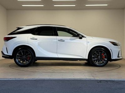 2024 Lexus RX 缩略图 18