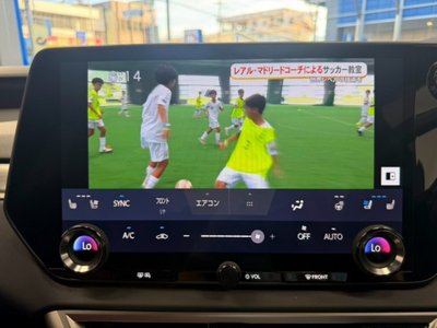 2024 Lexus RX 缩略图 42