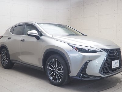 صورة 8 لـ 2023 Lexus NX