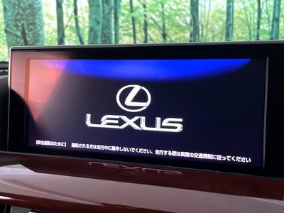 2016 Lexus LX photo 5