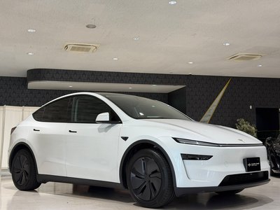 TESLA MODEL Y - 9