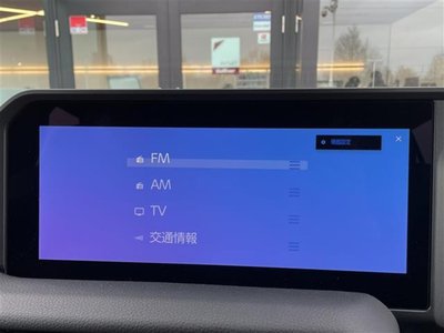 TOYOTA LAND CRUISER 250 - 5