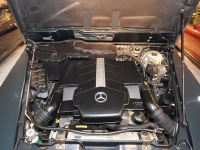 2005 Mercedes-BENZ G-CLASS 照片 10