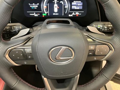 صورة مصغرة 15 لـ 2025 Lexus RX