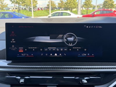 2025 BMW X6 缩略图 33