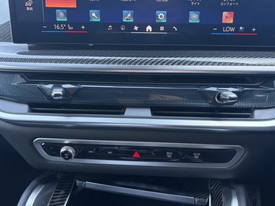 2025 BMW X6 缩略图 35