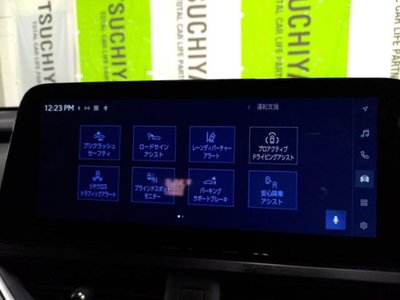 2025 Lexus UX 缩略图 20
