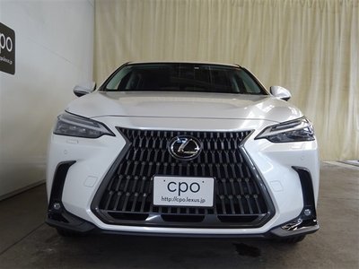 LEXUS NX - 8