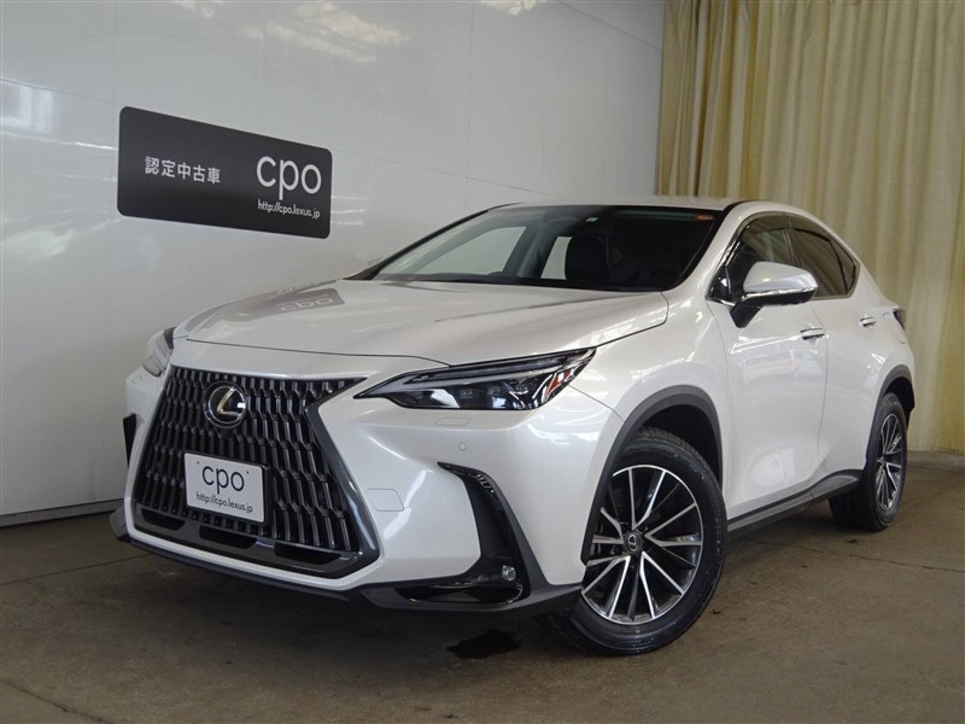 LEXUS NX - View 1