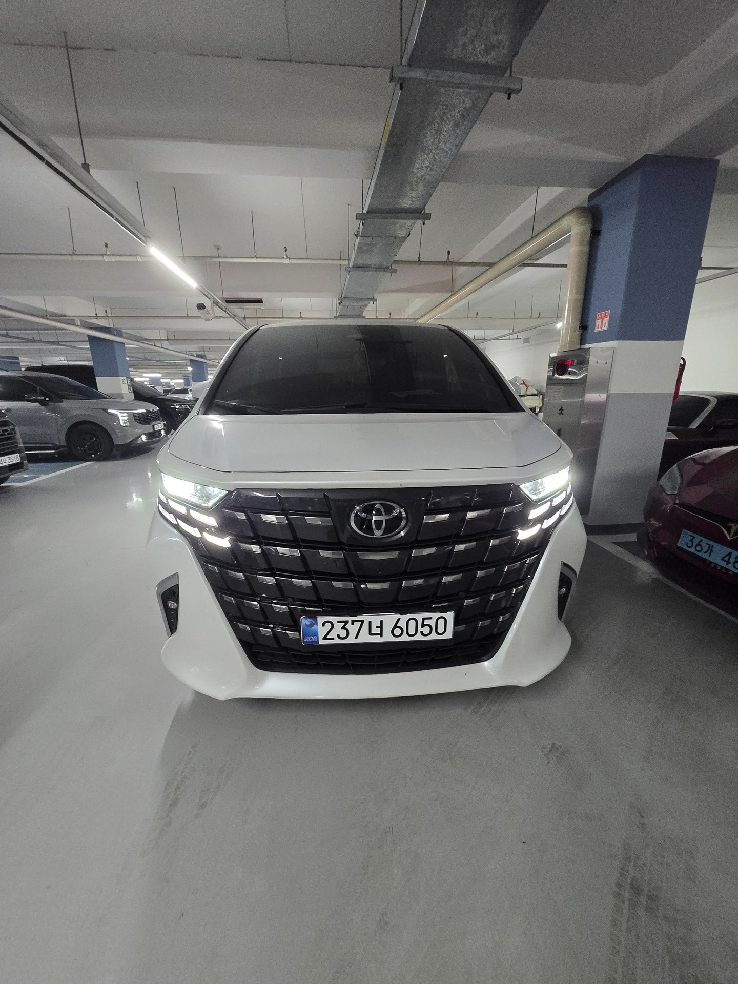 TOYOTA ALPHARD - View 1