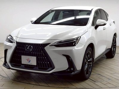 صورة مصغرة 66 لـ 2024 Lexus NX