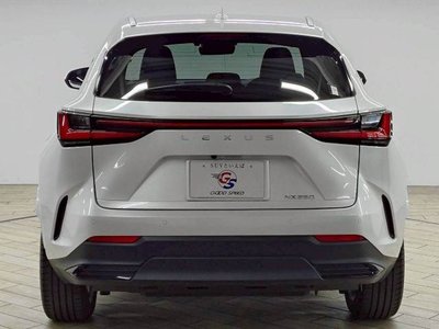 صورة مصغرة 19 لـ 2024 Lexus NX