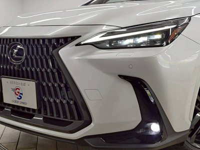 صورة مصغرة 63 لـ 2024 Lexus NX
